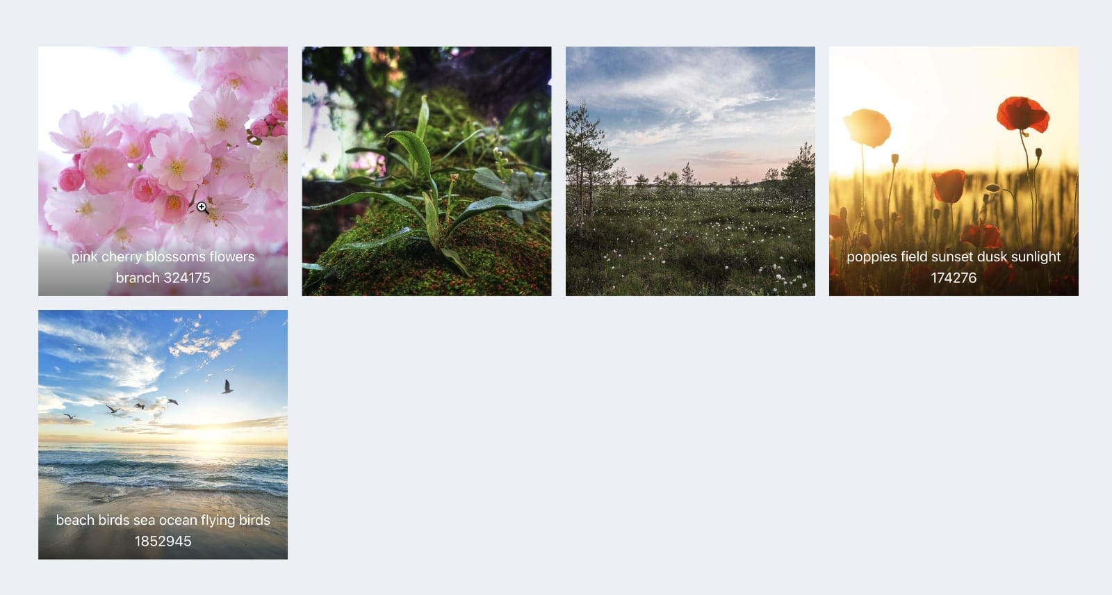 Dynamic Galleries with Thumbnails and Captions in Lightbox using